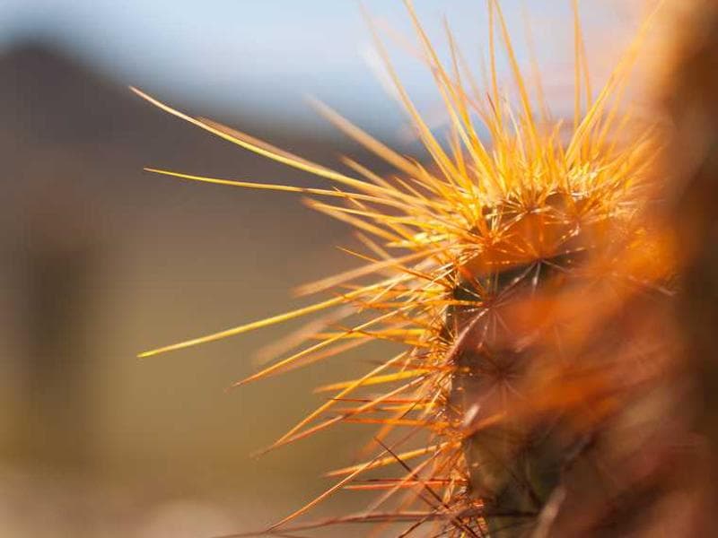 Panama Canal & Rainforest